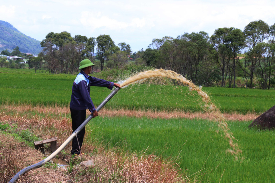 Người dân thị trấn M’Đrắk, huyện M’Đrắk phải dùng máy bơm hút những vũng nước còn lại tại hồ Ea Kpal để chống hạn cứu lúa. (Ảnh: Tuấn Anh/TTXVN)