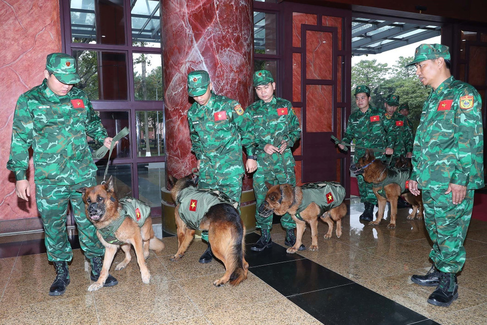 Đội chó nghiệp vụ làm công tác cứu hộ, cứu nạn của lực lượng bộ đội biên phòng sẵn sàng lên đường. (Ảnh: Trọng Đức/TTXVN)