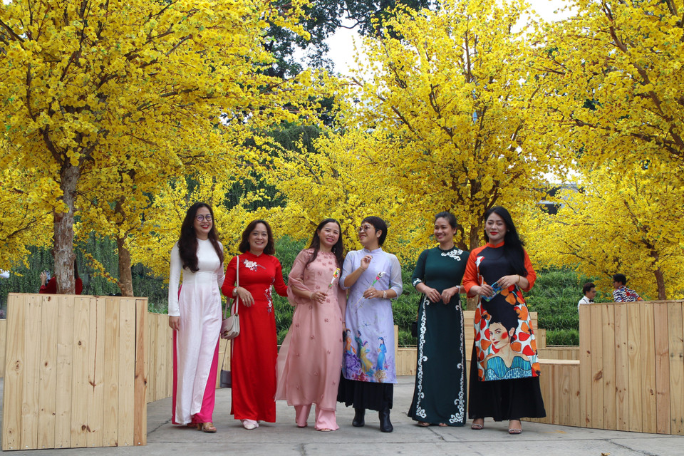 Không gian vườn mai ngày Tết rực rỡ tại Lễ hội Tết Việt. (Ảnh: Thanh Vũ/TTXVN)