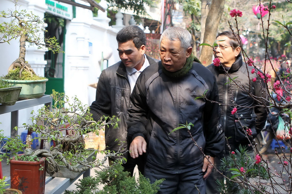 Nhiều người cao tuổi tìm đến với các loại cây thế. (Ảnh: Quốc Khánh/ TTXVN)