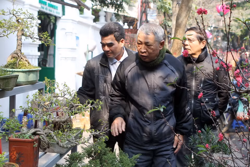 Nhiều người cao tuổi tìm đến với các loại cây thế. (Ảnh: Quốc Khánh/ TTXVN)