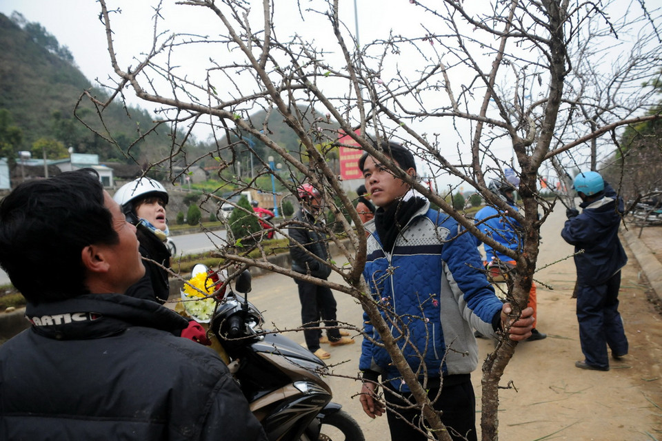Rất nhiều người chỉ thích chơi đào rừng. (Ảnh: Nguyễn Công Hải)