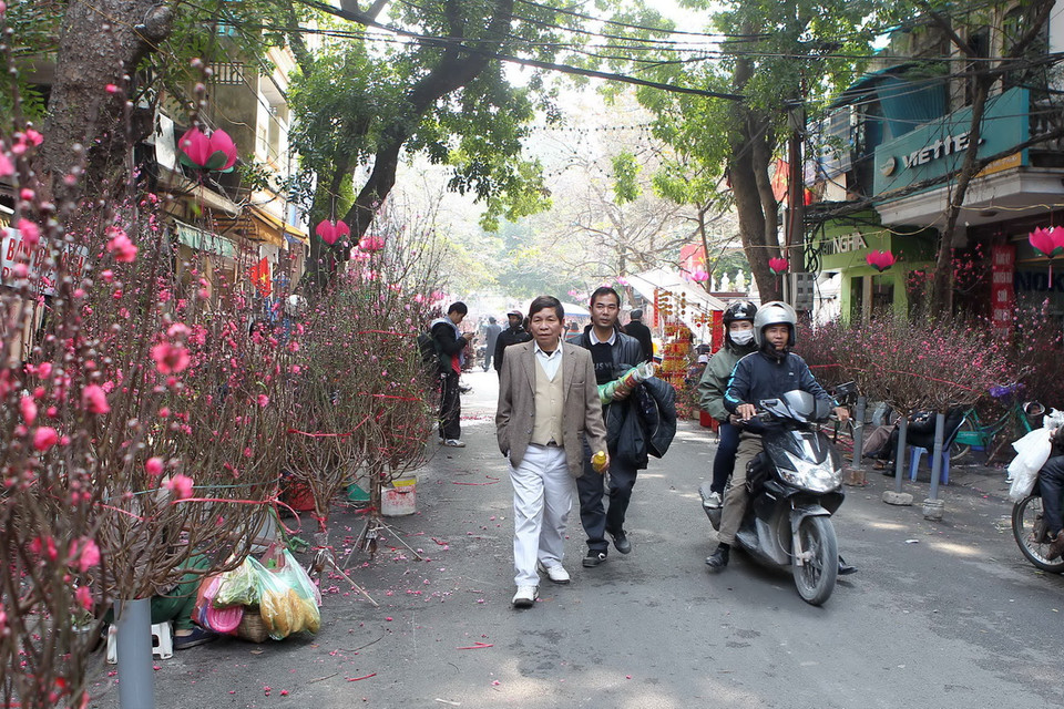 Từ 23 tháng Chạp, chợ hoa Hàng Lược bắt đầu họp, thu hút đông đảo người dân đến chọn mua hoa. (Ảnh: Quốc Khánh/TTXVN)