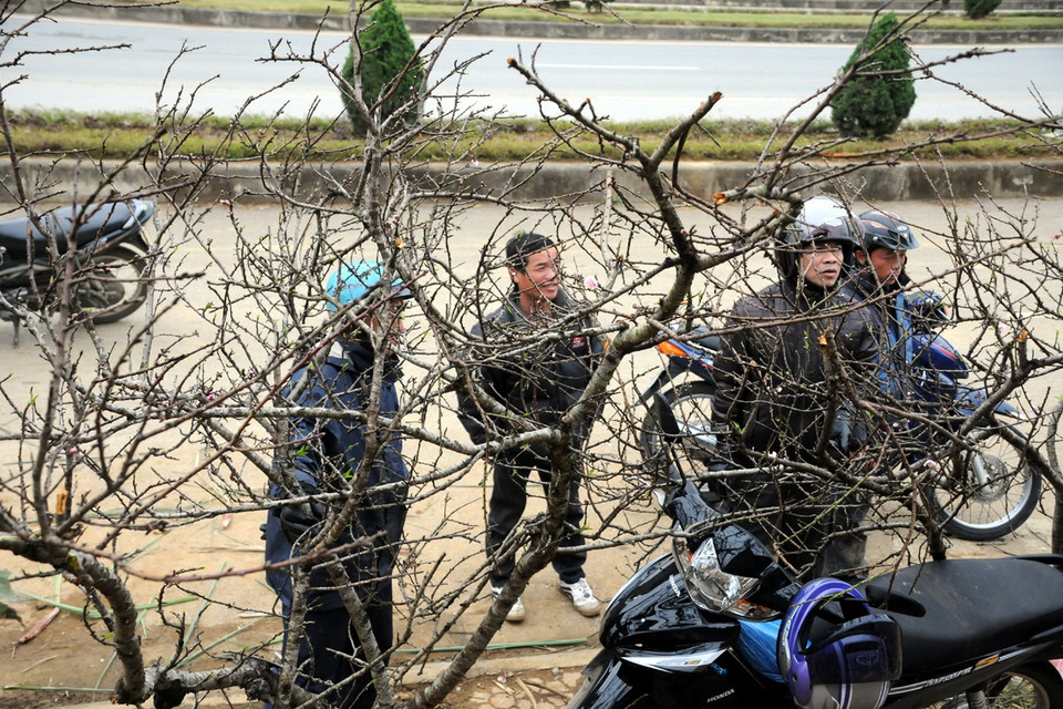 Rất nhiều người chỉ thích chơi đào rừng. (Ảnh: Nguyễn Công Hải)