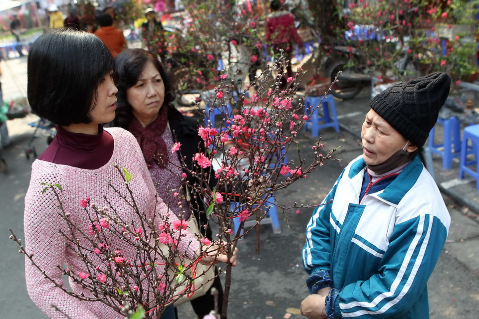 Hai mẹ con chọn mua hoa đào tại chợ hoa Hàng Lược. (Ảnh: Quốc Khánh/TTXVN)