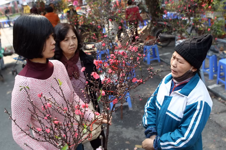 Hai mẹ con chọn mua hoa đào tại chợ hoa Hàng Lược. (Ảnh: Quốc Khánh/TTXVN)