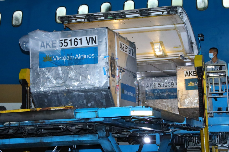 (Ảnh: Nguyễn Điệp/TTXVN)