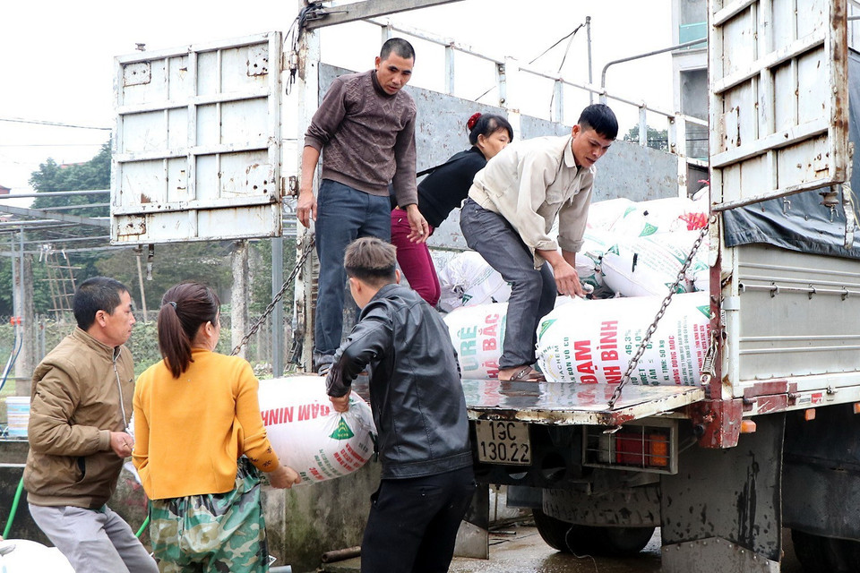 Hàng tấn cá chép đỏ phục vụ ông Công, ông Táo đã sẵn sàng lên đường. (Ảnh Tạ Toàn/TTXVN)