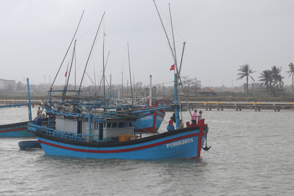 Sau khi chuẩn bị đầy đủ nhiên liệu, nhu yếu phẩm ngư dân Phú Yên nhổ neo hướng ra biển đánh bắt cá vụ Tết. (Ảnh: Phạm Cường/TTXVN)