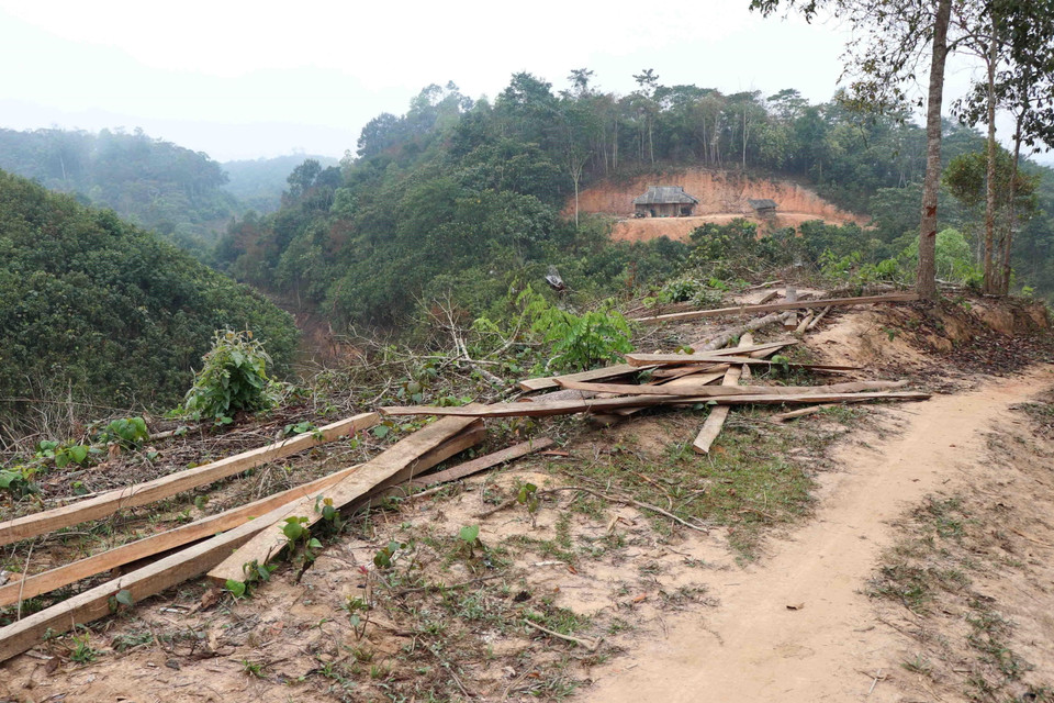 Việc có nhiều người dân sinh sống trong khu vực có rừng và nhu cầu về đất canh tác, gỗ để làm nhà ở, dựng chuồng trại chăn nuôi đã dẫn đến tình trạng rừng bị tổn hại nghiêm trọng. (Ảnh: Xuân Tiến/TTXVN)