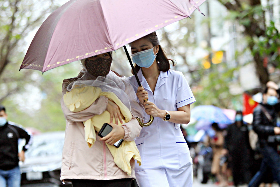 (Ảnh: An Đăng/TTXVN)