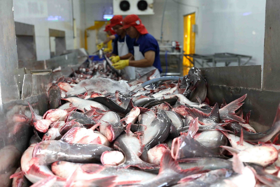 Một số mặt hàng của Việt Nam được xuất khẩu sang Chile như thủy sản, cà phê, đồ gỗ, hàng dệt may, giầy dép, xơ sợi... (Ảnh: Vũ Sinh/TTXVN)