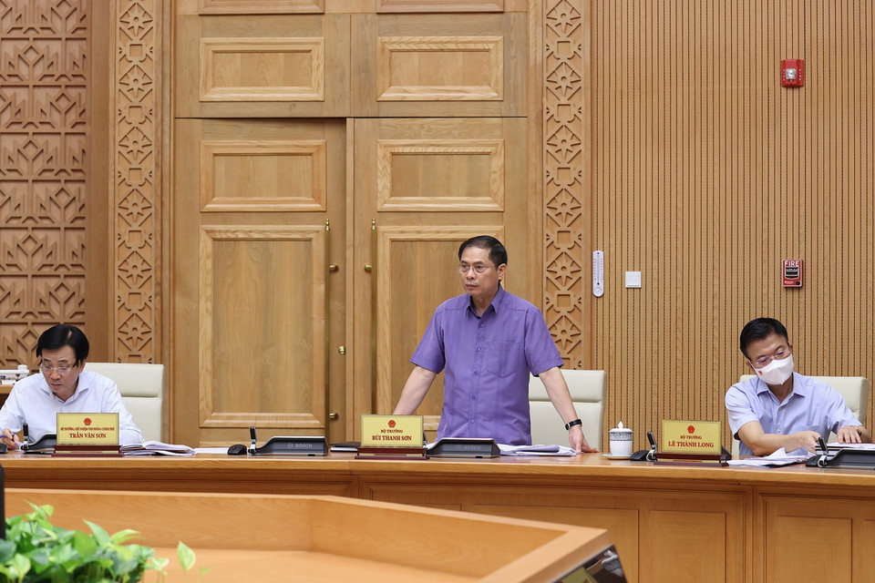  Bộ trưởng Bộ Ngoại giao Bùi Thanh Sơn phát biểu. (Ảnh: Dương Giang/TTXVN)