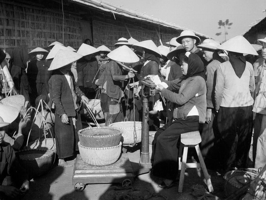 Nông dân vùng Ninh Giang, tỉnh Hải Dương mang thóc đến bán cho Chính phủ vào tháng 11/1958. (Ảnh: Đức Như/TTXVN)