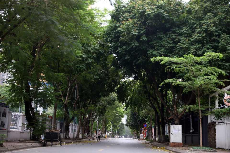 Phố Hoàng Ngân (quận Cầu Giấy) sáng 1/4. (Ảnh: Huy Hùng/TTXVN)