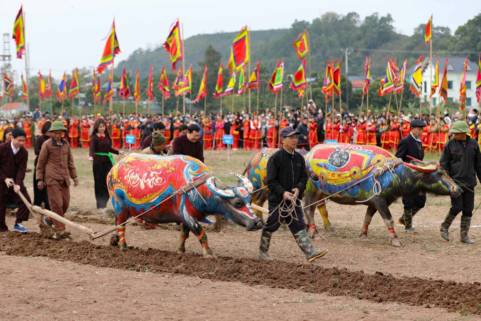 Thực hiện nghi thức với đường cày đầu Xuân tại Lễ khai hội Tịch điền Đọi Sơn năm 2023. (Ảnh: Thanh Tùng/TTXVN)