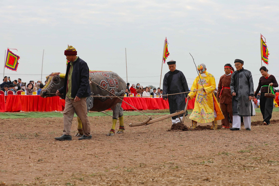 Tái hiện lại cảnh nhà Vua xuống đồng cày ruộng đầu năm mới tại lễ hội. (Ảnh: Thanh Tùng/TTXVN)