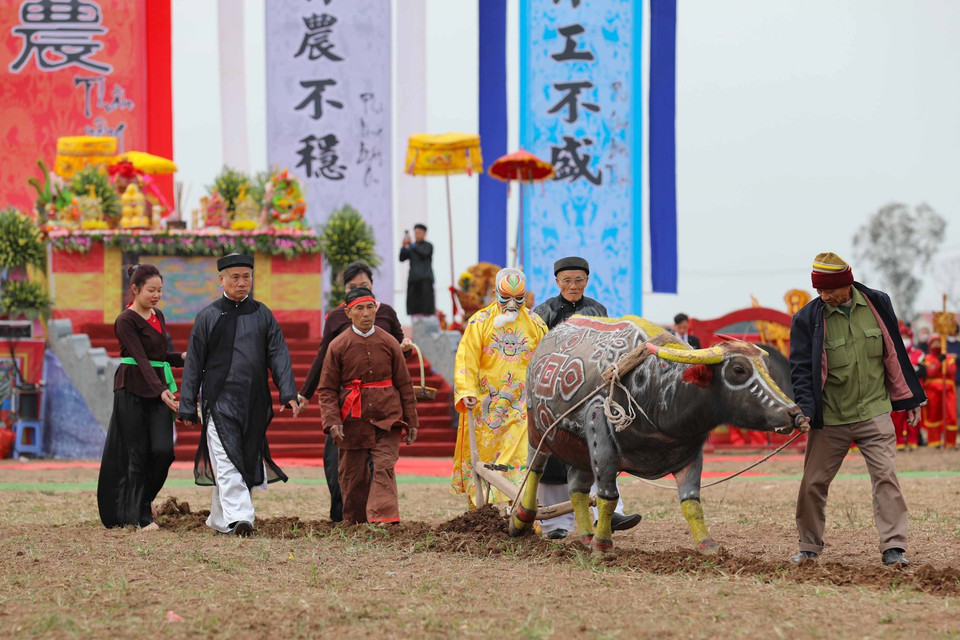 Tái hiện cảnh nhà Vua xuống đồng cày ruộng đầu năm mới tại lễ hội. (Ảnh: Thanh Tùng/TTXVN)