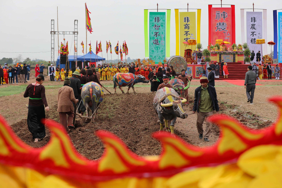 Những đường cày đầu Xuân cầu cho mùa màng bội thu. (Ảnh: Thanh Tùng/TTXVN)