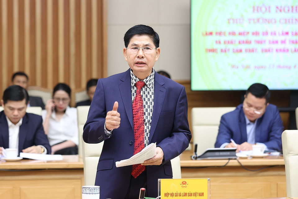 Ông Đỗ Xuân Lập, Chủ tịch Hiệp hội Gỗ và Lâm sản Việt Nam (VIFOREST) phát biểu. (Ảnh: Dương Giang/TTXVN)