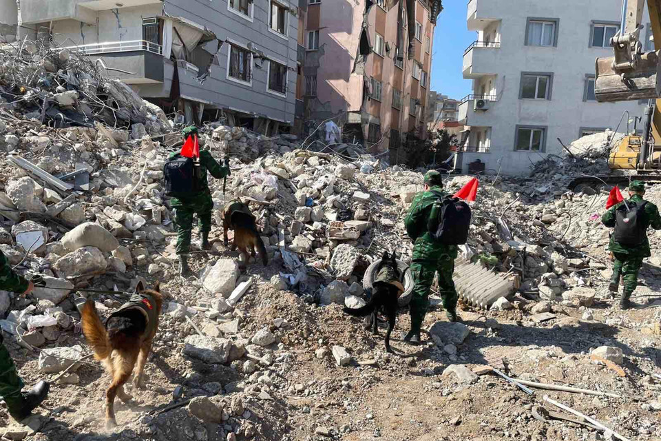 Đội Công binh cứu sập và Đội chó nghiệp vụ của Quân đội nhân dân Việt Nam hỗ trợ tìm kiếm cứu nạn tại tỉnh Hatay. (Ảnh: Văn Hiếu/Vietnam+)