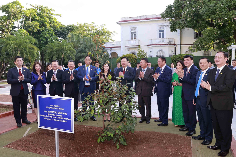 Chủ tịch Quốc hội Vương Đình Huệ trồng cây lưu niệm tại Đại sứ quán Việt Nam tại Cuba. (Ảnh: Doãn Tấn/TTXVN)