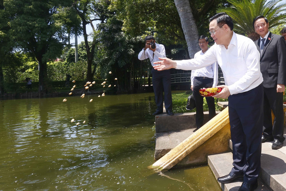 Chủ tịch Quốc hội Vương Đình Huệ thăm ao cá Bác Hồ trong Khu Di tích Chủ tịch Hồ Chí Minh. (Ảnh: Doãn Tấn/TTXVN)