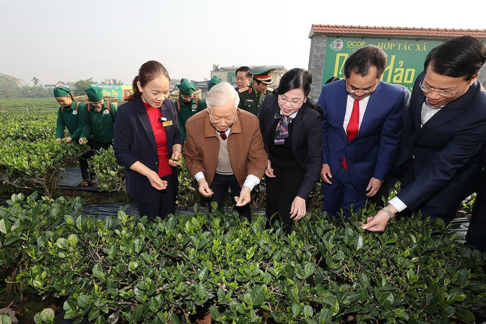 Tổng Bí thư Nguyễn Phú Trọng thăm vườn chè của Hợp tác xã Hảo Đạt, thành phố Thái Nguyên. (Ảnh: Trí Dũng/TTXVN)