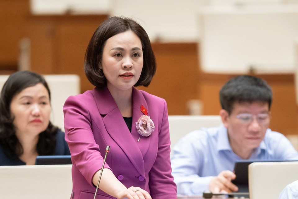 Đại biểu Quốc hội tỉnh Ninh Bình Trần Thị Hồng Thanh phát biểu. (Ảnh: Doãn Tấn/TTXVN)