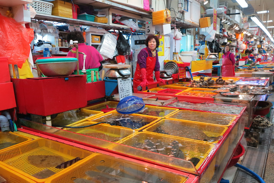 Chợ được hình thành từ năm 1930, diện tích trên 7.500m2 với khoảng 500 gian hàng. Ước chừng 30 phần trăm sản lượng đánh bắt cá của Hàn Quốc đi qua chợ này.