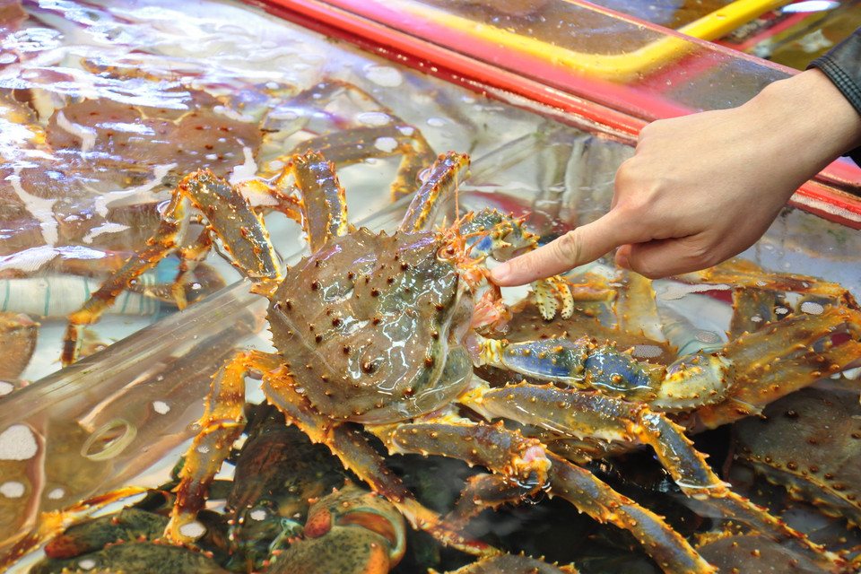 (Ảnh: Thanh Thảo/Vietnam+)