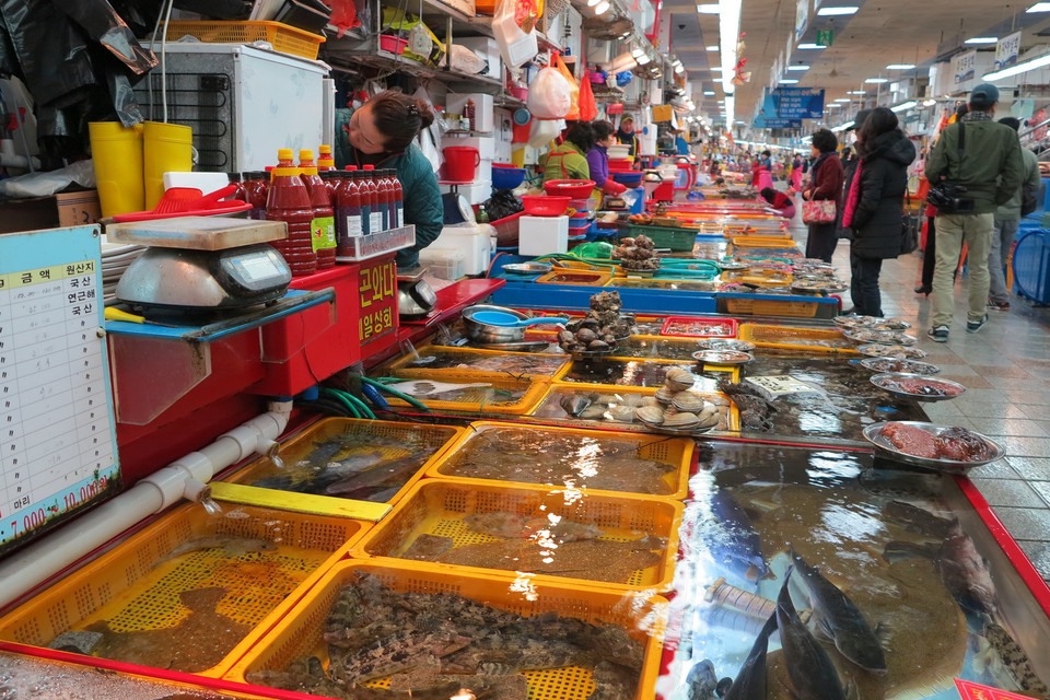 Chợ Jagalchi nằm ngay sát biển, cách cảng quốc tế Busan khoảng 1km.