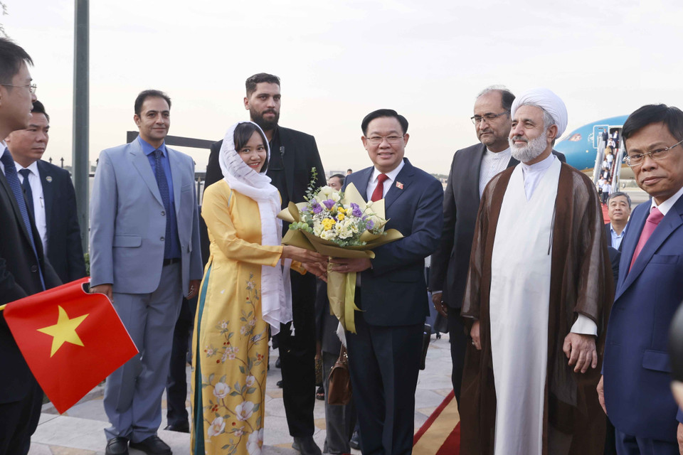 Cộng đồng người Việt tại Iran đón Chủ tịch Quốc hội Vương Đình Huệ tại Sân bay Mehrabad, thủ đô Tehran. (Ảnh: Doãn Tấn/TTXVN)