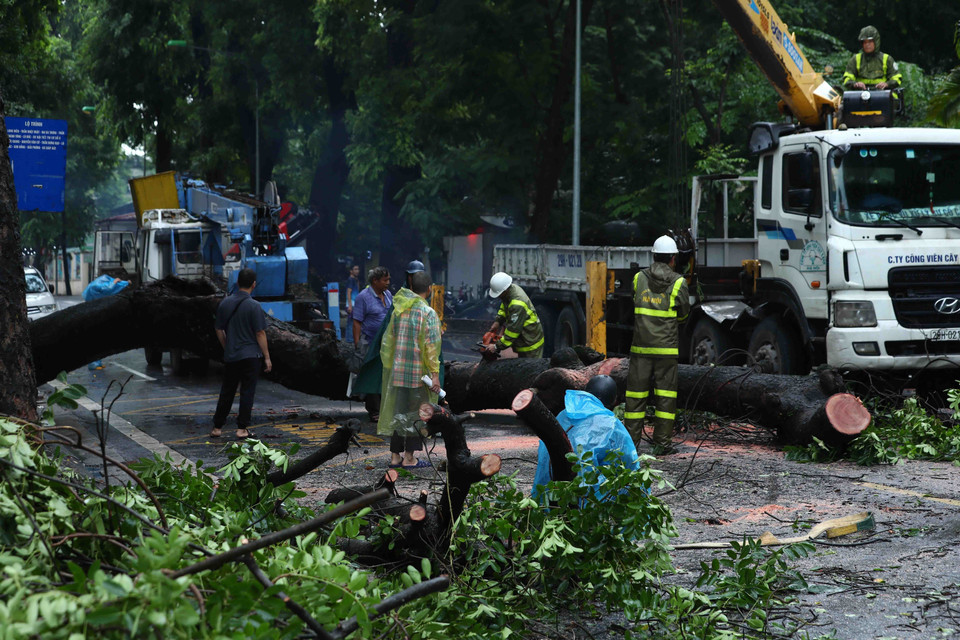 Nhân viên công ty xây xanh khắc phục sự cố. (Ảnh: Phạm Kiên/TTXVN)