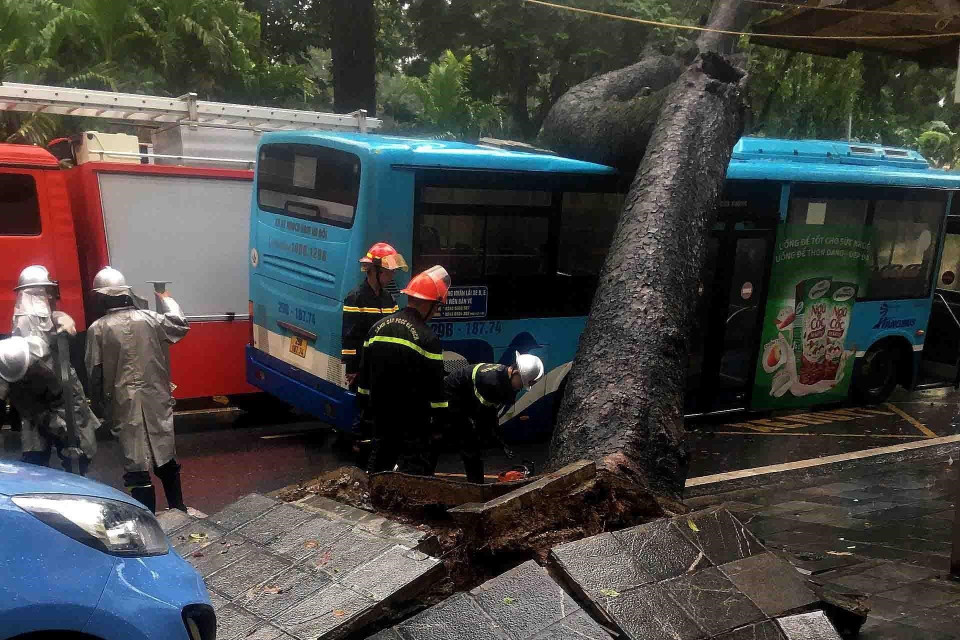 Hiện trường vụ việc. (Ảnh: Phạm Kiên/TTXVN)