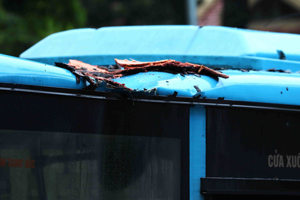 Xe buýt bị hư hỏng nhẹ sau sự cố cây xanh đổ vào. (Ảnh: Phạm Kiên/TTXVN)