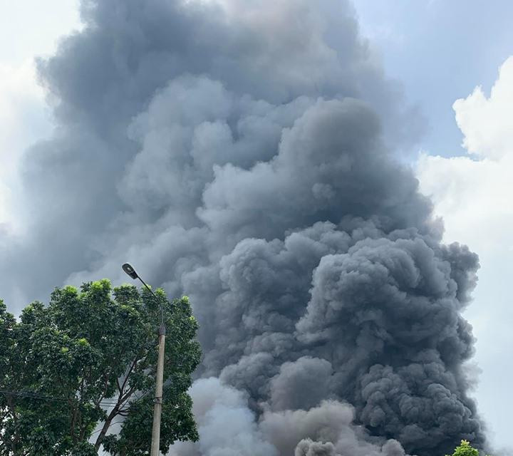 (Ảnh: PV/Vietnam+)