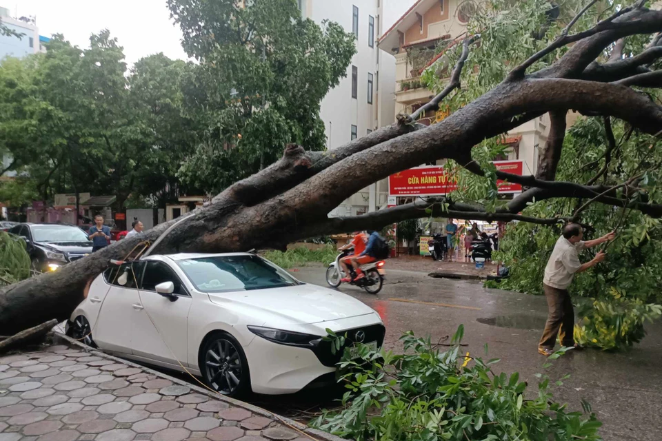 Hà Nội: Đã có những thiệt hại đầu tiên ngay trước khi bão Yagi chính ...