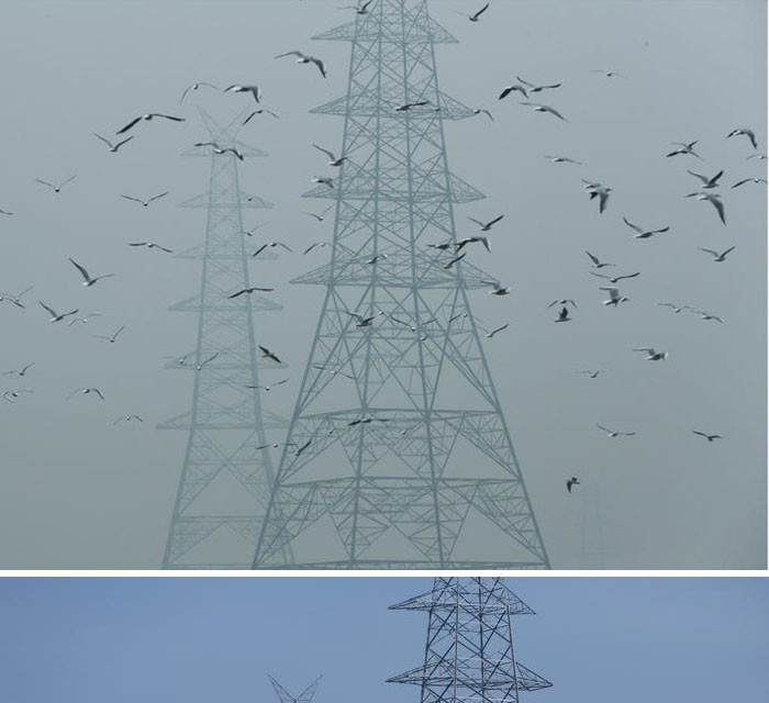 Nồng độ bụi mịn tại New Delhi, Ấn Độ, đã giảm 71% trong một tuần. Hình ảnh các trụ điện ở New Delhi, Ấn Độ, được chụp vào ngày 30/10/2019 (trên) và ngày 13/4/2020 (dưới).(Nguồn: boredpanda.com)