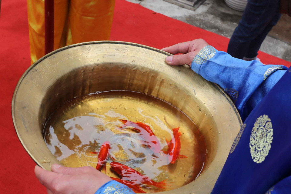 Cá chép được thả trong ngày lễ 23 tháng Chạp. (Ảnh: Thanh Tùng/TTXVN)