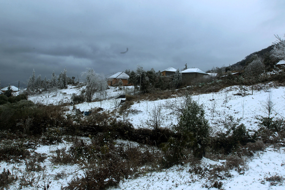 Tuyết rơi phủ trắng xóa tại xã Y Tý, huyện Bát Xát. (Ảnh: Quốc Khánh/TTXVN)