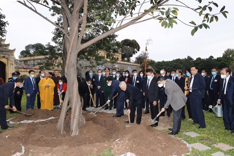 Tổng Bí thư, Chủ tịch nước Nguyễn Phú Trọng trồng cây lưu niệm tại Khu Di tích Hoàng thành Thăng Long. (Ảnh : Trí Dũng/TTXVN)