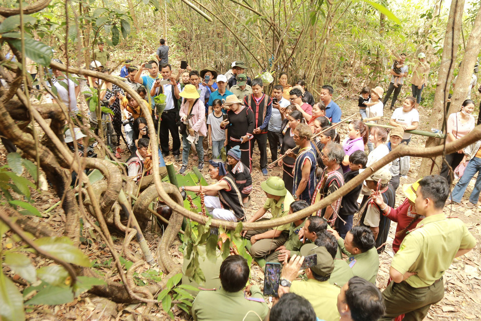 Già Siu Tới dâng lên một phần thức ăn ngon cúng Thần rừng cầu cho mưa thuận gió hòa, che chở, bảo vệ cho dân làng. (Ảnh: Quang Thái/TTXVN)