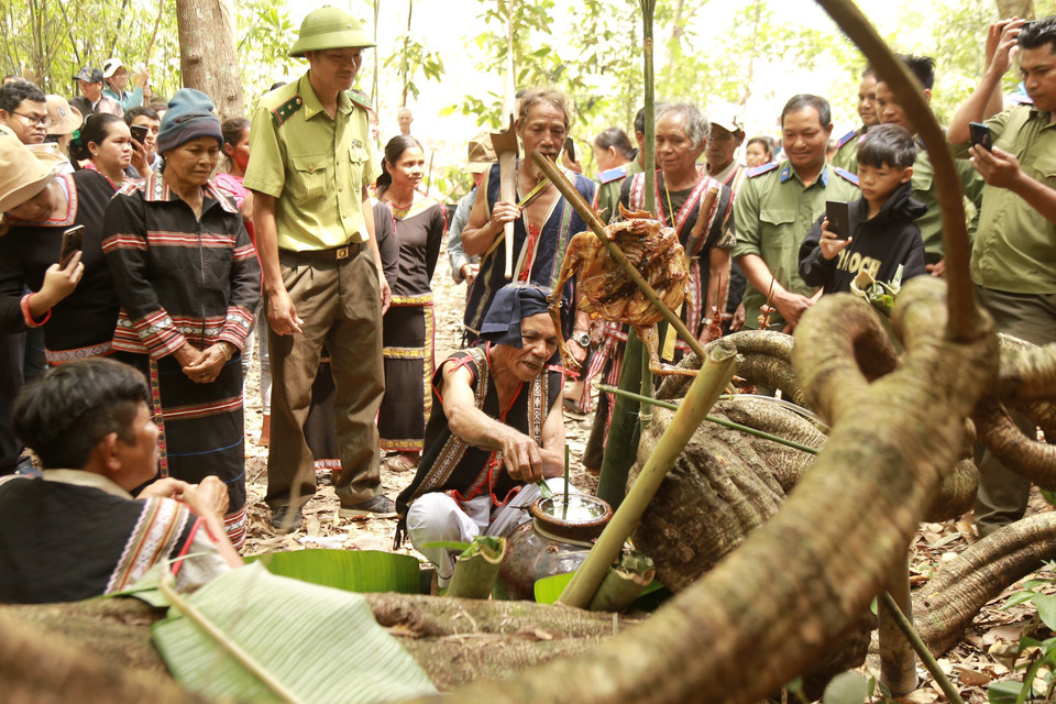 Thông qua nghi lễ cúng Thần Rừng, người dân cũng như các lực lượng chức năng làm nhiệm vụ quản lý bảo vệ rừng tại đây mong muốn Thần rừng che chở, phù hộ cho mưa thuận gió hòa, cho nước để sản xuất, cho cây để làm nhà, bảo vệ cho dân làng được an toàn. (Ảnh: Quang Thái/TTXVN)