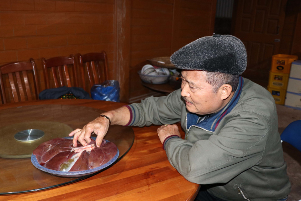 Giống như như người Kinh có tục bói chân gà trong dịp tết, tập tục bói gan, mật lợn đã được người Hà Nhì bảo lưu, trao truyền từ bao đời nay trong quá trình thiên di rồi định cư, lập bản ở vùng đất cực Tây của Tổ quốc và trở thành nét đẹp trong văn hóa tâm linh của cộng đồng người Hà Nhì. (Ảnh: Xuân Tiến/TTXVN)