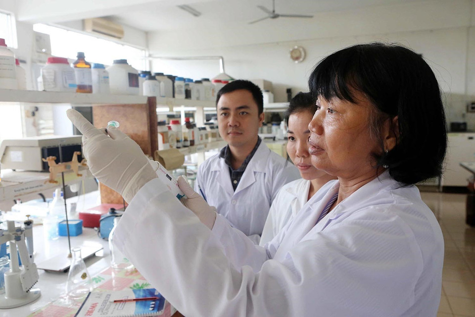 Giáo sư, tiến sỹ Nguyễn Thị Lang, nguyên Trưởng Bộ môn Di truyền và Chọn giống của Viện Lúa đồng bằng sông Cửu Long là một trong 7 người phụ nữ được vinh danh trong Giải thưởng Phụ nữ Việt Nam năm 2011; Giải thưởng Phụ nữ sáng tạo năm 2014. (Ảnh: Phương Hoa/TTXVN)