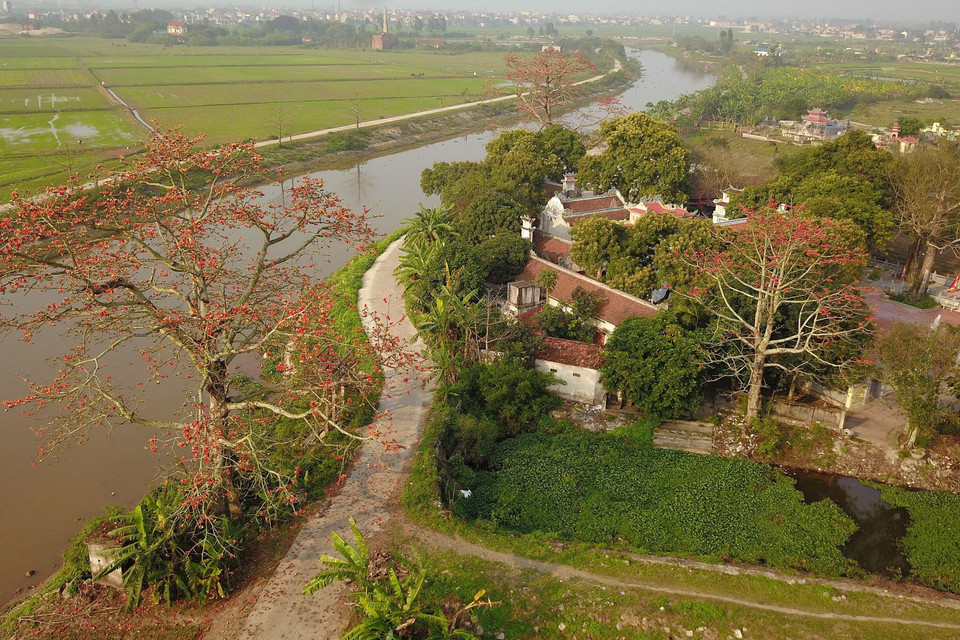 Tháng Ba mùa hoa gạo, mùa của những luyến tiếc, nhớ thương khi hoài niệm về những ngày thơ ấu chốn quê nhà. (Ảnh: Minh Đức/TTXVN)