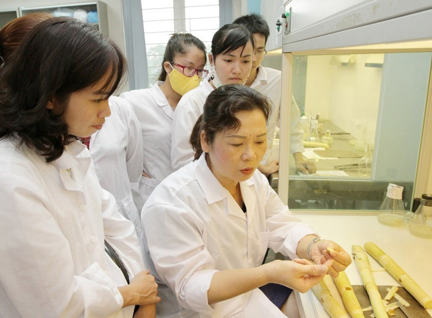 Tiến sỹ Hà Thị Thúy (phải), Phó Viện trưởng Viện Di truyền nông nghiệp, Phó Giám đốc Phòng Thí nghiệm trọng điểm công nghệ tế bào thực vật (Bộ NN và PTNT) đã có hàng chục công trình, đề tài nghiên cứu, nhận nhiều giải thưởng, bằng khen các cấp. (Ảnh: Phương Hoa/TTXVN)