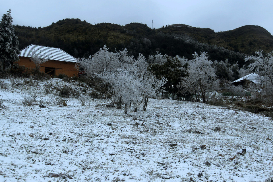Tuyết rơi phủ trắng tại xã Y Tý, huyện Bát Xát. (Ảnh: Quốc Khánh/TTXVN)