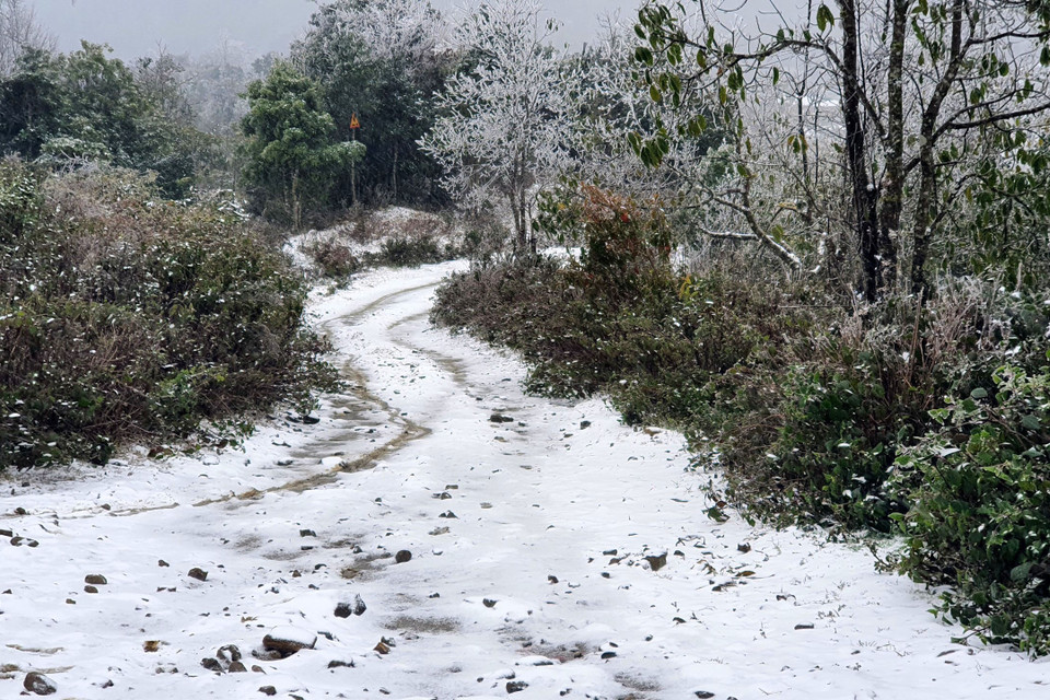 Các con đường thuộc thôn Nhìu Cô San, xã Y Tý, huyện Bát Xát, tuyết phủ dày đặc. (Ảnh: Quốc Khánh/TTXVN)